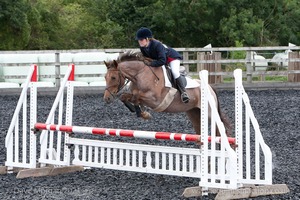 Class 7 - Fences 3' to 3'3